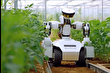 Yapay zeka tarıma da el atıyor, robot çiftçiler geliyor