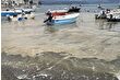 Marmara Denizi'nde Bursa kıyılarında müsilaj görüldü