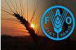 Türkiye, FAO konsey üyeliğine seçildi