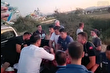 Manavgat'ta firar eden aslan saldırdı: 1 yaralı