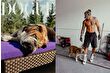 Lewis Hamilton'ın bulldog'u Roscoe, Dogue kapağında