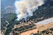 Muğla Seydikemer'de evde çıkan yangın ormanı yaktı