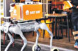 Robot köpekler teslimata başladı