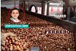 Türkiye’nin en büyük fındık ihracatçılarından Ronly el değiştiriyor