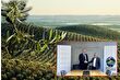 Yeniköy Kemerköy Enerji ile Türkiye Tabiatını Koruma Derneği iş birliğine gitti, taşınan zeytin ağaçlarını yeni yerlerinde bilim kurulu inceleyecek