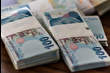 Hazine ve Maliye Bakanlığı, 538,5 milyar liralık iç borçlanmaya gidecek