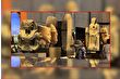 Dünyanın en büyük arkeoloji müzesi sayılan 'Büyük Mısır Müzesi'ne yoğun ilgi