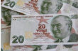 E9 Emisyon Grubu 7'nci Tertip 20 TL banknotlar tedavüle verildi