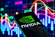 'Teknoloji balonu' endişeleri gölgesinde gelen Nvidia’nın rekor bilançosu küresel piyasalara ralli getirdi