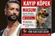 Tan Taşçı’dan kayıp köpeği “Masum” için yardım çağrısı