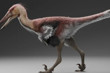 Patagonya’da keşfedilen 70 milyon yıllık yeni dinozor türü, avlanma şekliyle modern balıkçılları şaşırtıcı biçimde andırıyor