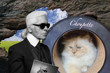 Karl Lagerfeld’in dünyaca ünlü kedisi Choupette, vaat edilen milyonlarca euroluk mirasa yıllardır ulaşamadı
