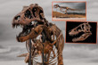 67 milyon yaşındaki T-Rex fosili 50,1 milyon dolara satıldı ve şimdiye kadar satılan en pahalı dinozor oldu