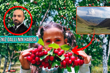 Özbekistan'ın Fergana Vadisi'nde ilk kez, Türkiye'den ihraç edilen şeftali, kiraz, kayısı ve eriğin hasadı yapıldı