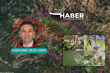 Danıştay’ın flora ve kuşlara ilişkin çalışmaları yetersiz bularak ÇED kararını iptal ettiği Sabancı’nın Gaia projesi için yeniden süreç başladı