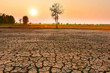 El Nino, dünya genelinde kuraklık, sel ve kasırgaların etkisini şiddetlendiriyor