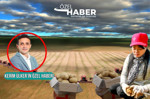 Ata toprağında tarım rekabeti