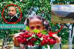 Fergana'ya Türk meyvesi