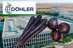 Türkiye’de 7 fabrika işleten Alman Döhler, 2011'de satın aldığı Karaman fabrikasında siyah havuç ve pancardan doğal kırmızı boya üretimini büyütüyor