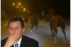 Mehmet Emin Karamehmet'in yarış atları çiftlikten kaçtı 