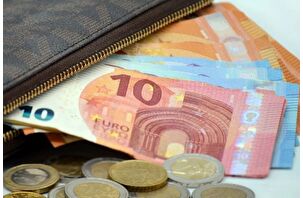 Dar gelirliye aylık 423 euro yardım kararı
