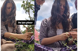 Elif Boyner'in köyde bitki toplama mesaisi