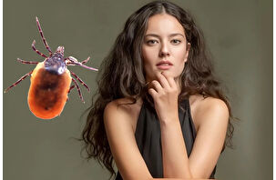 Oyuncu Pelin Akil'i kene ısırdı hastaneye koştu