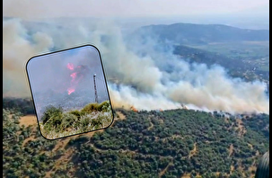 Söke'de alarma geçiren yangın