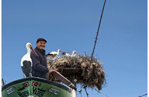 Yaren leyleğin yavruları halkalandı