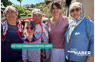 Efeler Yolu'nda bir gün