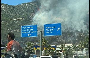 Bodrum'da korkutan yangın