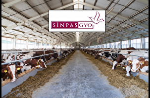 Sinpaş GYO, iştirakini sattı