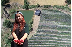 21 yaşındaki Özlem, organik çilek patronu oldu