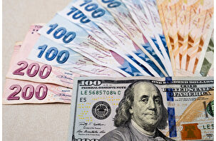 Hafta dolar artışı ile başladı, TL varlıklar baskılandı