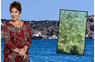 Oyuncu Melek Baykal, Bodrum'daki deniz kirliliğine isyan etti