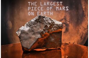 Mars'tan düşen göktaşı 5,3 milyon dolara satıldı