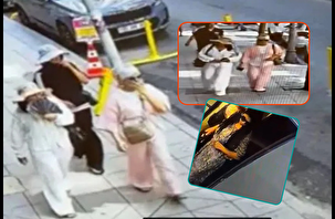 Gözde semtlere dadandılar: Kılık değiştirip soydular