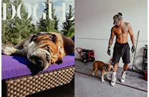 Lewis Hamilton'ın bulldog'u Roscoe, Dogue kapağında