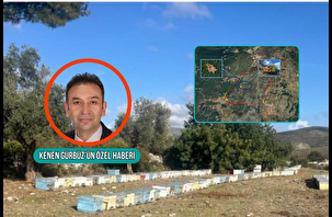 Bodrum Mazı'daki RES'e ÇED olumlu kararı
