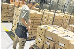 İstanbul-Madrid hattında 1.7 ton kokain