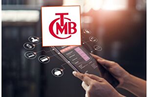 3 elektronik para kuruluşunun faaliyetlerine durdurma