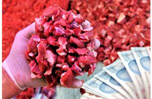 'Balıkesir kuzusu' sonra çıktı oyunu