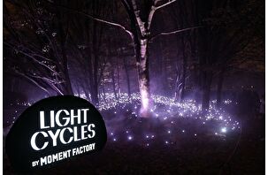 Fransa’da 'Light Cycles' açık hava gösterisi, ışık, ses ve doğayı buluşturdu