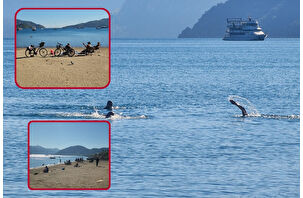 Marmaris’te sarı yaz keyfi