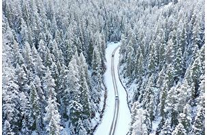 Bolu'nun yüksek kesimleri beyaz örtüyle kaplandı