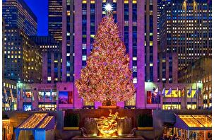 New York Rockefeller Center'daki ikonik yılbaşı ağacının serüveni yayınlandı