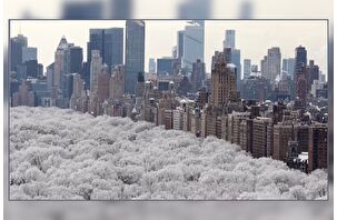 New York'ta kar fırtınası etkili oldu