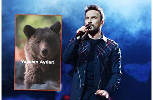 Tarkan'dan 'avcılık yasaklansın, ayılar yaşasın' mesajı