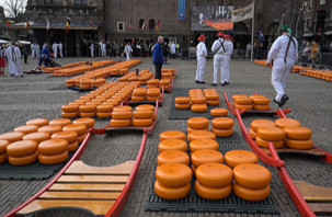 Hollanda'da geleneksel peynir pazarına yoğun ilgi