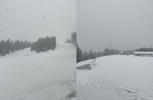 Ilgaz Dağı'nda kar yağışı etkili oluyor